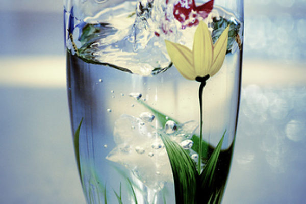 Acqua : due iniziative a Bologna