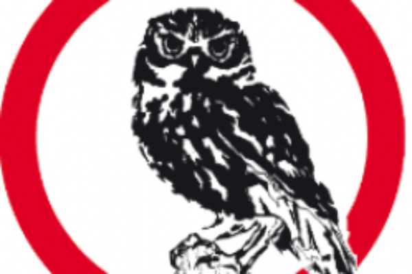 Convocazione Assemblea Straordinaria dei soci