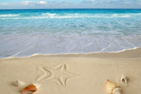 Orario estivo Federconsumatori