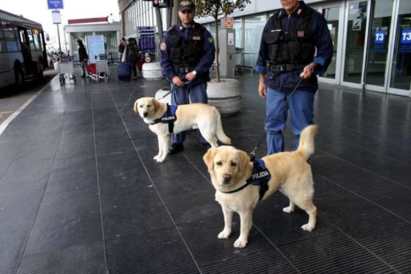 Viaggi e rischio terrorismo: che fare